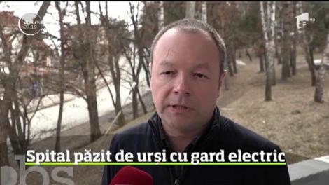 Într-o regiune în care apariţia urşilor pe străzi este aproape la ordinea zilei, autorităţile iau măsuri extreme
