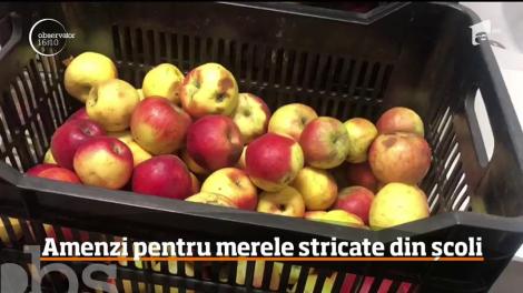 Mere stricate pentru elevii unei școli din Suceava! Părinții sunt revoltați – Video