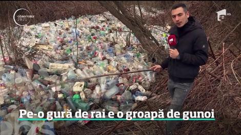 Un râu de peturi străbate Delta din inima Transilvaniei