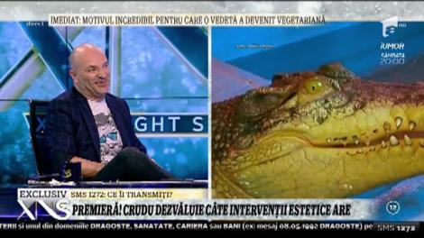 Daniela Crudu, dezvăluiri despre noul sezon Chefi la Cuțite