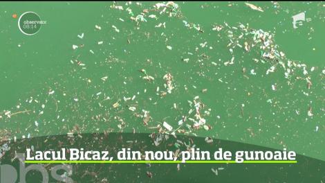 Imagini revoltătoare! PET-urile au invadat din nou Lacul Bicaz