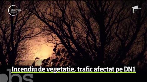 Un incendiu puternic de vegetaţie a paralizat traficul pe DN1