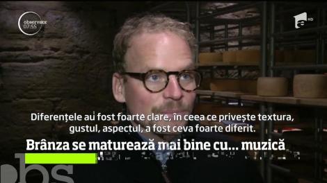 Brânza se maturează mai bine cu... muzică