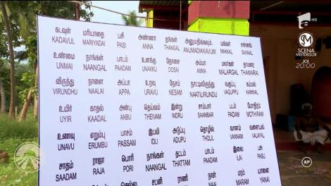 Concurenţii de la Asia Express, nevoiţi să scrie în limba tamil! „Moldoveanco, te arunc în șanț!”