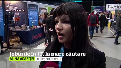 Joburile în IT, la mare căutare