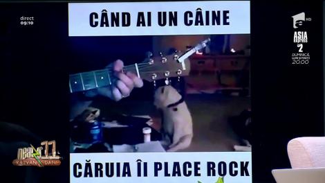 Smiley News. Când ai un câine căruia îi place muzica rock