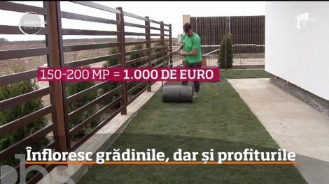 Înfloresc grădinile, dar și profiturile
