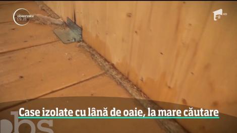 Constructorii au găsit o utilitate pentru lâna de oaie: termoizolează case cu ea. Cum arată o astfel de locuinţă şi care sunt avantajele ei