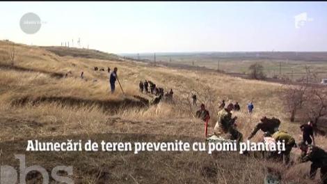 Alunecări de teren, prevenite cu pomi plantați. Localitatea Izvoarele din Galaţi ar putea scăpa de pericole
