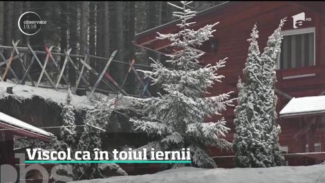 Viscol ca în toiul iernii, în mai multe zone ale ţării. Temperaturile scad sub zero grade Celsius