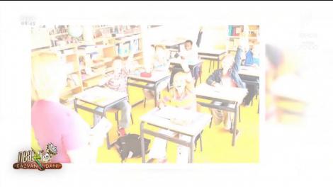 Recomandări de weekend, 23 - 24 martie 2019. Cum îți poți petrece timpul liber