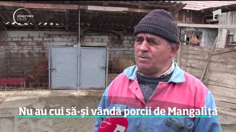Carnea de Mangaliţa nu are succes în România. Motivul pentru care abatoarele nu mai primesc această rasă de porci