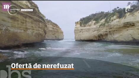 Cel mai dorit loc de muncă. Salariu este foarte atrăgător şi călătoriţi în toată lumea