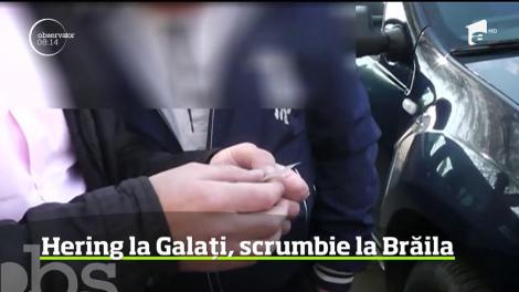 Doi bărbaţi din Brăila, adevăraţi magicieni. Pe drum, de la Galaţi la Brăila, au transformat heringul în scrumbie!