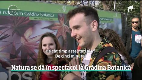 Natura se dă în spectacol la Grădina Botanică din București. Totul este înflorit, un decor perfect pentru o fotografie