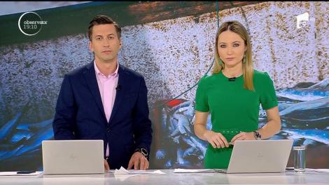 Dezlegarea la peşte naşte o nouă afacere ilegală. Românii cumpără fără să ştie hering la preţ de scrumbie