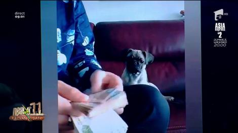 Smiley News. Cățelul care își ajută stăpânul să numere banii