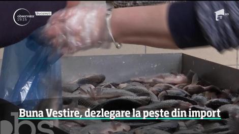 Credincioşii sărbătoresc Bunavestire cu pește din import