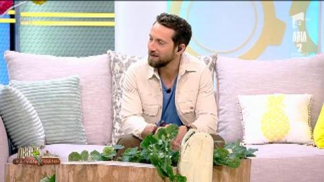 Răzvan și Dani, amintiri din Reșița: Aveau și ei food truck, într-o rulotă obosită: „Mai mult o flecea”