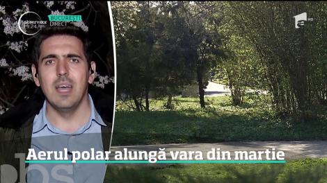 Vremea se schimbă drastic! România, lovită de un aer polar în următoarele zile! Zonele în care temperaturile scad până la 14 grade și va ploua