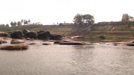 Prima misiune din cursa pentru ultima şansă! Vedetele trebuie să hrănească maimuţele cu banane