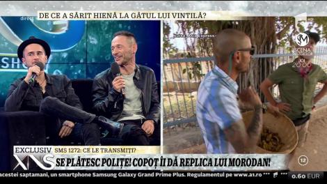 De ce a sărit Şerban Copoţ la gâtul lui George Vintilă?