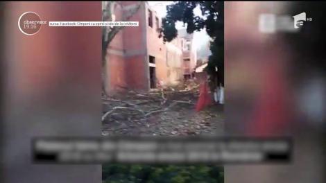 În România, nici măcar copacii premiaţi nu rezistă în faţa drujbelor. Arborele Centenarului, vechi de 200 de ani, a fost ciopârţit de autorităţi