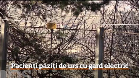 De teama urşilor, Spitalul Judeţean din Miercurea Ciuc a fost împrejmuit cu un gard electric