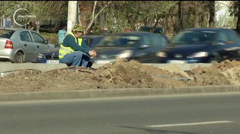 Barduri noi, în locul pomilor înfloriți. Acțiunea i-a înfuriat pe bucureştenii