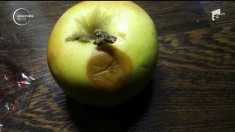 Merele cerute de Uniunea Europeană pentru elevii din România sunt mai mult vis decât realitate