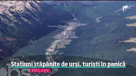 Imagini incredibile în Buşteni şi Sinaia! Urşii au pus stăpânire pe staţiuni, iar turiştii sunt avertizaţi să nu se plimbe pe jos