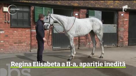 Regina Elisabeta a II-a s-a întors la marea sa iubire. Suveranul Marii Britanii a hrănit mai mulţi cai în timpul primei sale vizite în comitatul Somerset din ultimii şapte ani