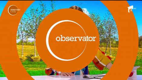 Acțiune de împădurire la Cluj! Sute de voluntari şi fani ai festivalului Electric Castle au ieşit să planteze copaci