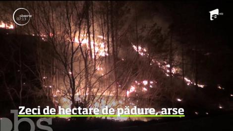 Zeci de incendii de vegetaţie fac prăpăd zilnic în ţară. Cel mai recent caz s-a înregistrat în Caraş Severin