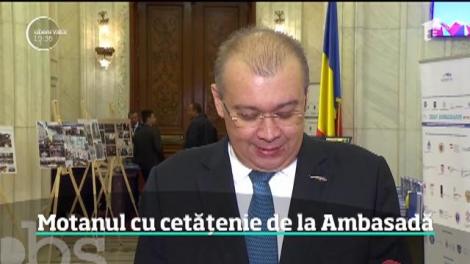 Un motan cu nume de rege a devenit mascota Ambasadei României din Londra