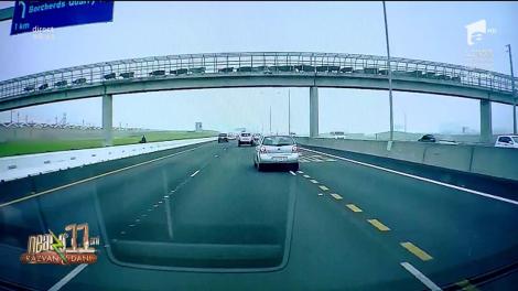 Smiley News. Vacile din Africa de Sud traversează autostrada pe pasarelă