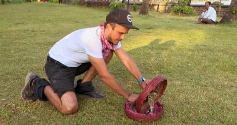 Șerban Copoț bagă mâna în coșul în care se afla o cobră! : ”Când am băgat mâna și am văzut că șarpele se mișcă, am zic că...”