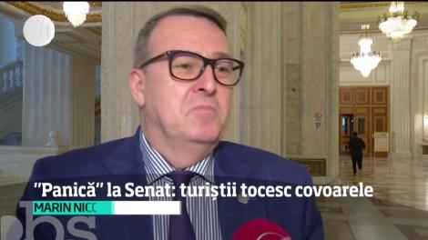 Şeful Senatului vrea să protejeze covoarele din Palatul Parlamentului de paşii turiştilor
