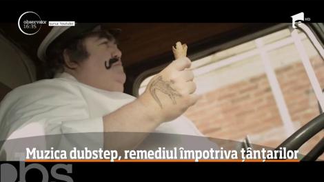 Muzica dubstep, remediul împotriva țânțarilor