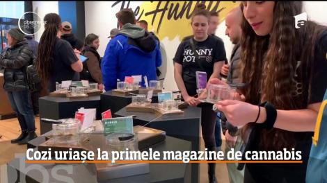 Oamenii au stat la cozi uriașe ca să cumpere primele grame de canabis legal! Scena s-ar putea repeta și în România