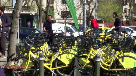 Ce activităţi putem face în parc, atunci când vremea este frumoasă