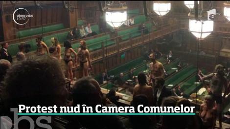 Un grup de ecologişti semi-dezbrăcaţi au animat dezbaterile pentru Brexit