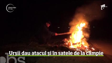 Este alertă într-o comună din Bistriţa Năsăud. De o săptămână, oamenii nu mai au linişte din cauza urşilor, care dau atac după atac