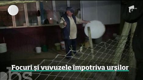 Focuri și vuvuzele împotriva urșilor care au năpustit într-o comună din Bistriţa Năsăud