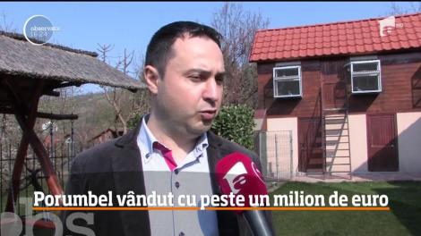 Creşterea porumbeilor voiajori, o pasiune profitabilă pentru români