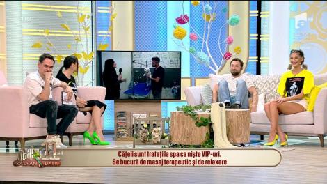 Băile cu nămol, răsfăț pentru căței