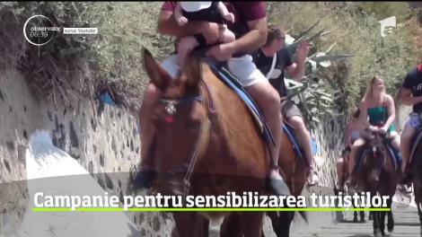 Sezonul vacanţelor se apropie, iar autorităţile din Santorini fac apel la turişti să evite să urce treptele insulei călare pe măgari