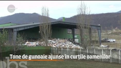 Tone de gunoaie ajunse în curțile oamenilor din Piatra Neamț