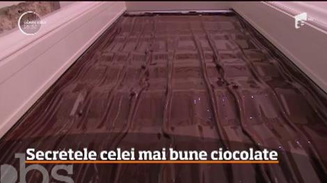Am fost în „patria ciocolatei” ca să învățăm cum să o alegem pe cea mai bună! Adio, stres și probleme hepatice