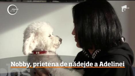 Un medic veterinar ne-a dat informaţiile necesare pentru a pregăti fără dureri de cap o vacanţă cu animalul de companie. Adelina Pestrițu vine cu sfaturi personale